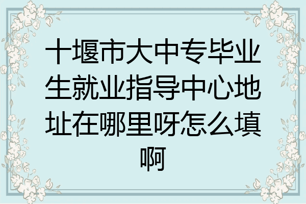 十堰市大中专毕业生就业指导中心地址在哪里呀怎么填啊