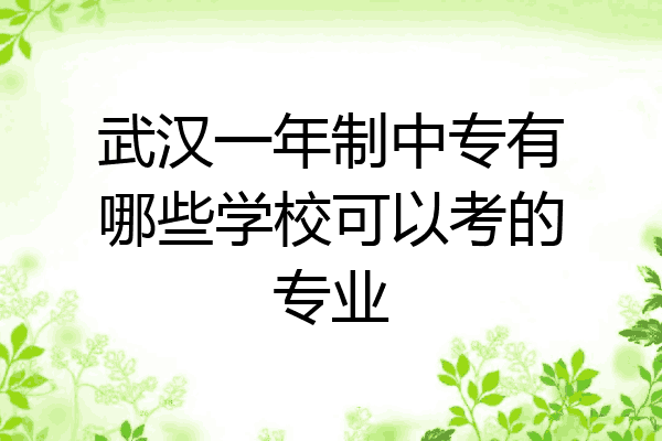 武汉一年制中专有哪些学校可以考的专业