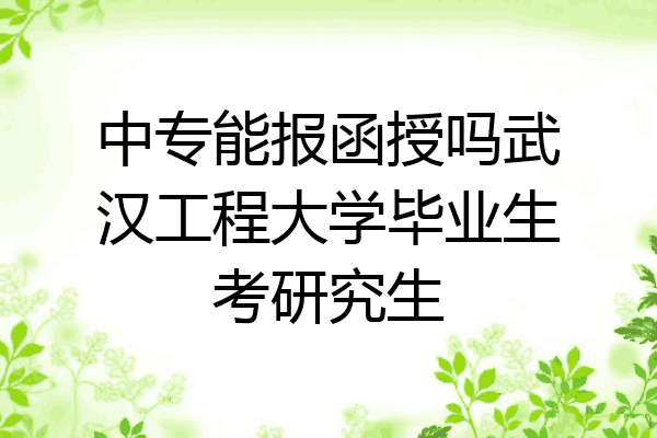 中专能报函授吗武汉工程大学毕业生考研究生