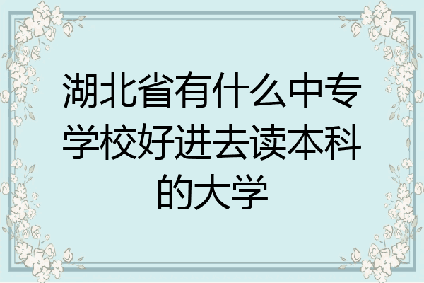 湖北省有什么中专学校好进去读本科的大学