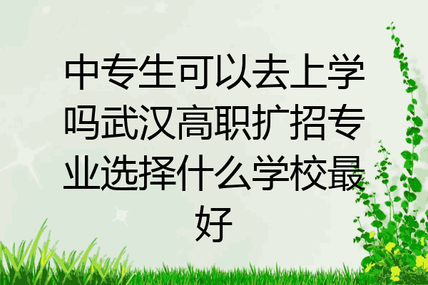 中专生可以去上学吗武汉高职扩招专业选择什么学校最好