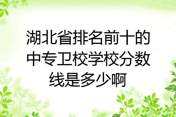 湖北省排名前十的中专卫校学校分数线是多少啊