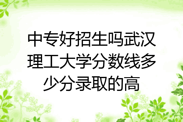 中专好招生吗武汉理工大学分数线多少分录取的高