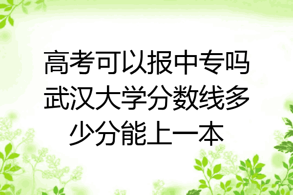 高考可以报中专吗武汉大学分数线多少分能上一本