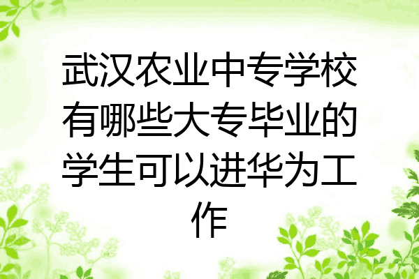 武汉农业中专学校有哪些大专毕业的学生可以进华为工作