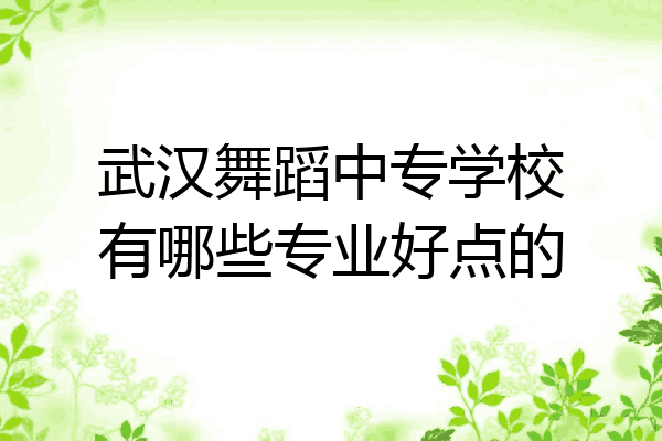 武汉舞蹈中专学校有哪些专业好点的