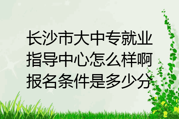 长沙市大中专就业指导中心怎么样啊报名条件是多少分