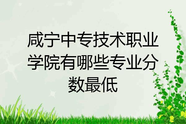 咸宁中专技术职业学院有哪些专业分数最低