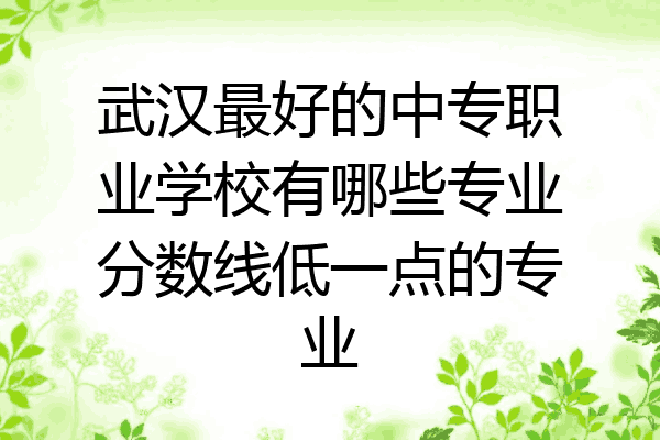 武汉最好的中专职业学校有哪些专业分数线低一点的专业