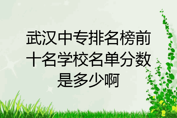 武汉中专排名榜前十名学校名单分数是多少啊