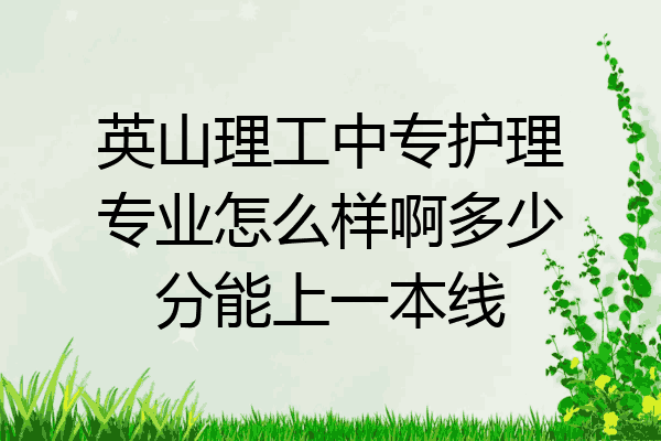 英山理工中专护理专业怎么样啊多少分能上一本线
