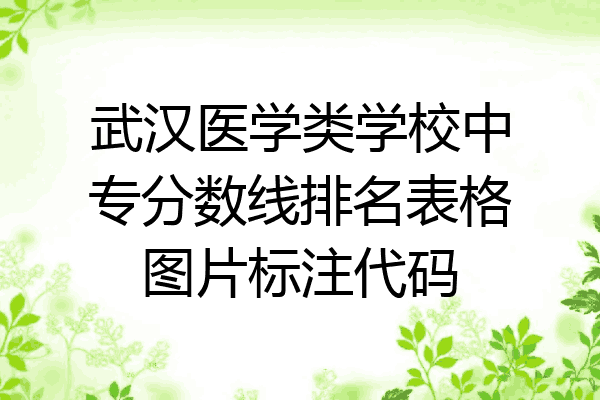武汉医学类学校中专分数线排名表格图片标注代码