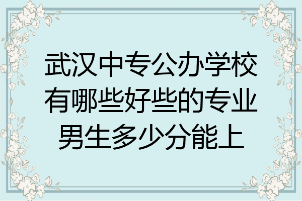 武汉中专公办学校有哪些好些的专业男生多少分能上