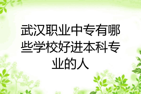 武汉职业中专有哪些学校好进本科专业的人