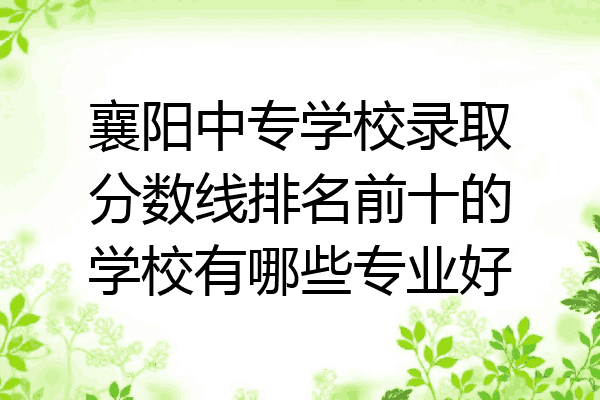 襄阳中专学校录取分数线排名前十的学校有哪些专业好