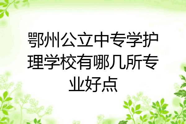 鄂州公立中专学护理学校有哪几所专业好点