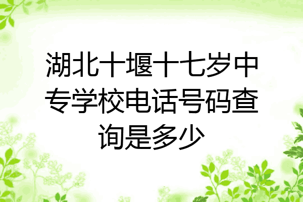 湖北十堰十七岁中专学校电话号码查询是多少
