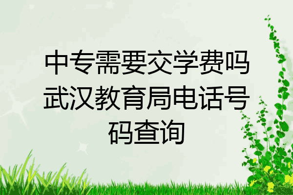 中专需要交学费吗武汉教育局电话号码查询