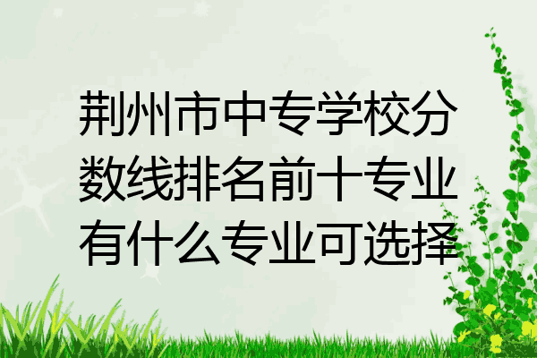荆州市中专学校分数线排名前十专业有什么专业可选择