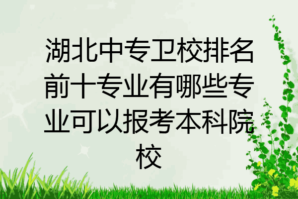 湖北中专卫校排名前十专业有哪些专业可以报考本科院校