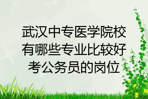 武汉中专医学院校有哪些专业比较好考公务员的岗位