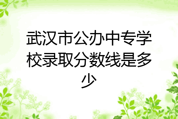 武汉市公办中专学校录取分数线是多少
