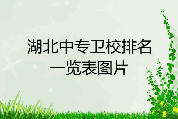 湖北中专卫校排名一览表图片