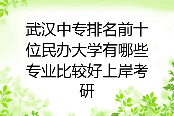 武汉中专排名前十位民办大学有哪些专业比较好上岸考研
