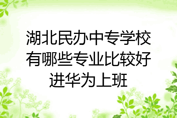 湖北民办中专学校有哪些专业比较好进华为上班