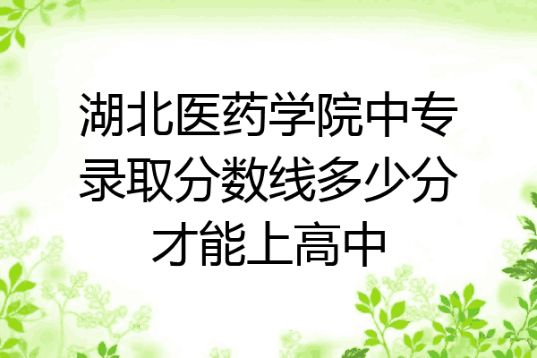湖北医药学院中专录取分数线多少分才能上高中