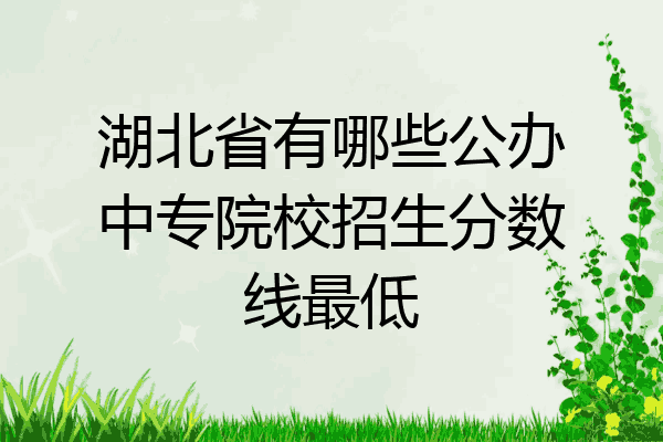 湖北省有哪些公办中专院校招生分数线最低