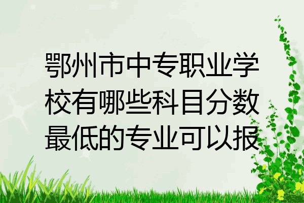 鄂州市中专职业学校有哪些科目分数最低的专业可以报