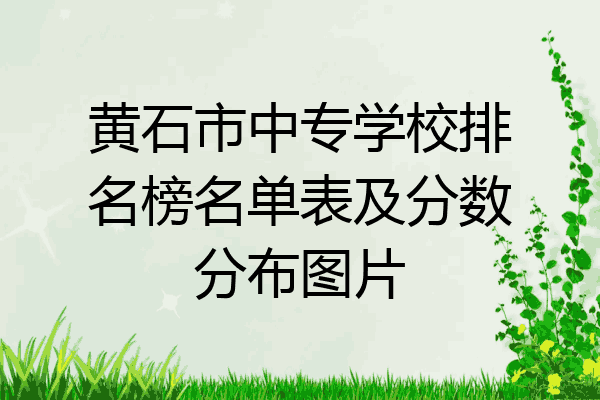 黄石市中专学校排名榜名单表及分数分布图片