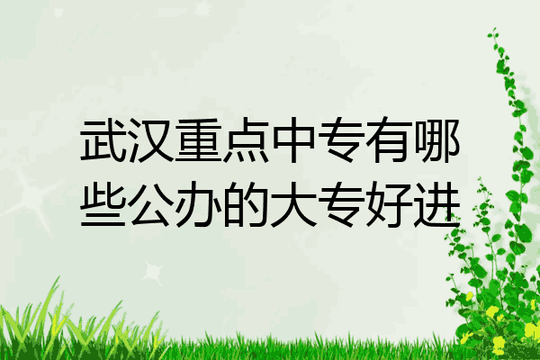 武汉重点中专有哪些公办的大专好进