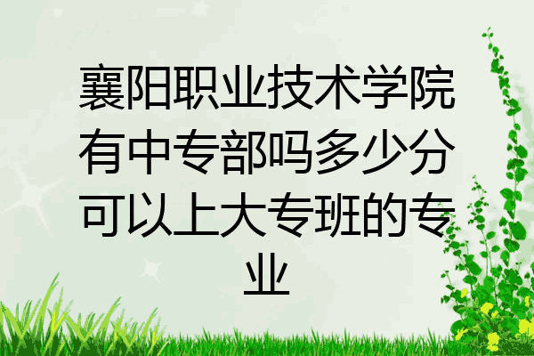 襄阳职业技术学院有中专部吗多少分可以上大专班的专业