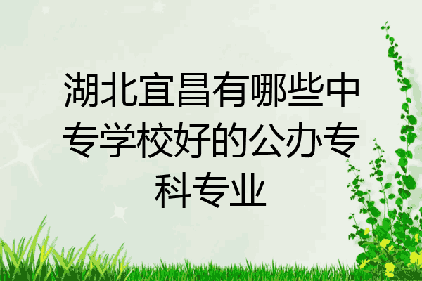 湖北宜昌有哪些中专学校好的公办专科专业