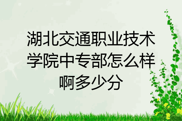 湖北交通职业技术学院中专部怎么样啊多少分