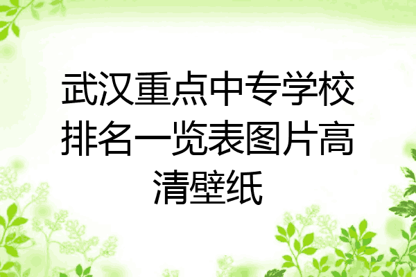武汉重点中专学校排名一览表图片高清壁纸