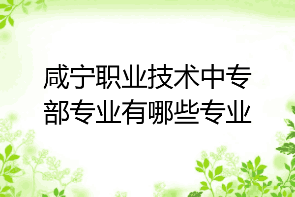 咸宁职业技术中专部专业有哪些专业