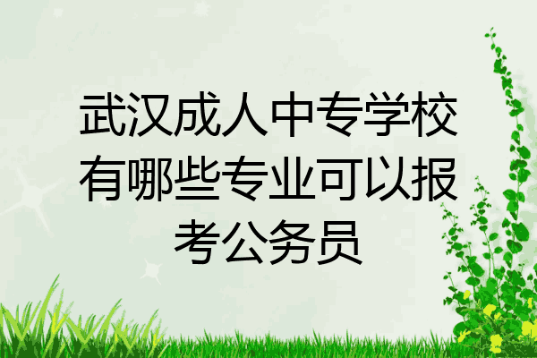 武汉成人中专学校有哪些专业可以报考公务员