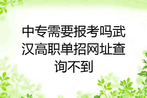 中专需要报考吗武汉高职单招网址查询不到