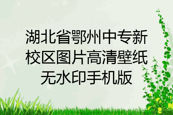 湖北省鄂州中专新校区图片高清壁纸无水印手机版
