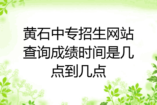 黄石中专招生网站查询成绩时间是几点到几点