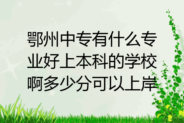 鄂州中专有什么专业好上本科的学校啊多少分可以上岸