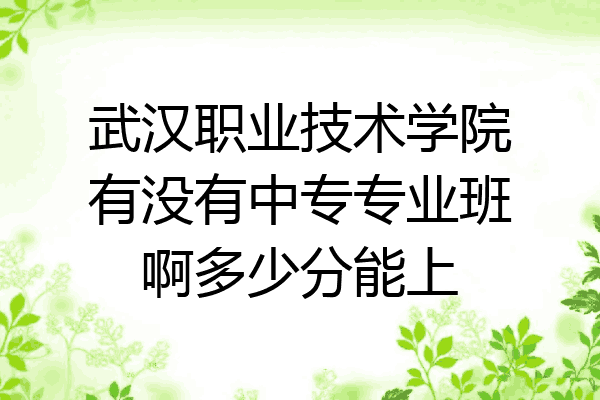 武汉职业技术学院有没有中专专业班啊多少分能上