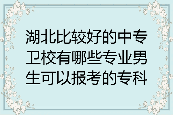 湖北比较好的中专卫校有哪些专业男生可以报考的专科