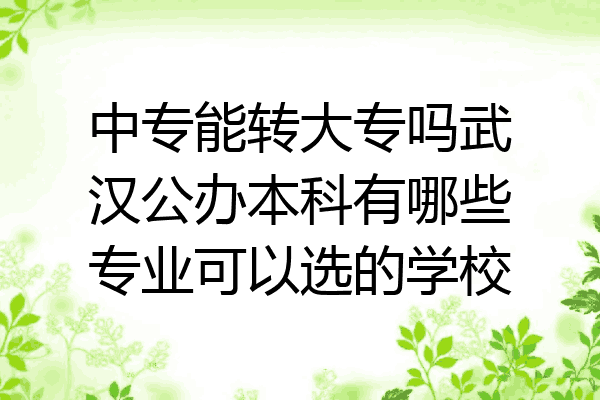 中专能转大专吗武汉公办本科有哪些专业可以选的学校