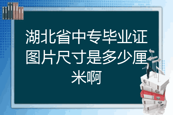 湖北省中专毕业证图片尺寸是多少厘米啊