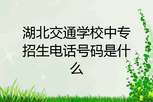 湖北交通学校中专招生电话号码是什么