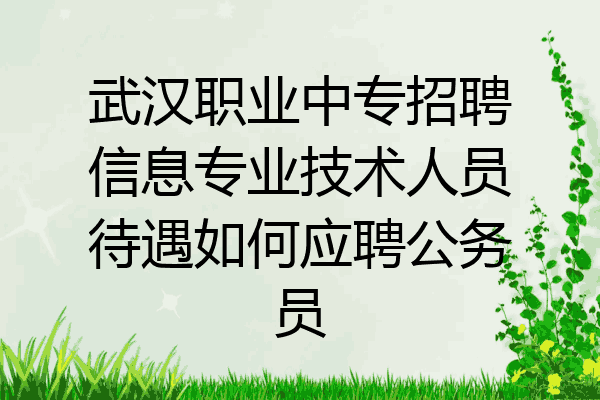 武汉职业中专招聘信息专业技术人员待遇如何应聘公务员